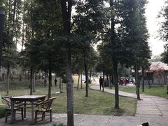 -秀丽东方