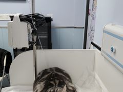 -纳吉亚猫专科动物诊疗中心(蒋宅口分院)