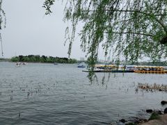 -长春市南湖公园