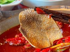 -袁老四重庆老火锅(桐梓坡店)