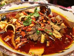 毛血旺-胡桃里音乐酒馆(白云五号T5 MALL店)