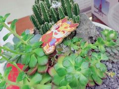 -招商银行(深圳益田支行)