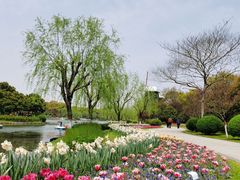 -上海鲜花港