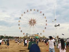 -奉贤海滩