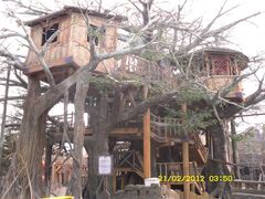 门面-北京欢乐谷