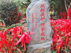 -墨江北回归线标志园