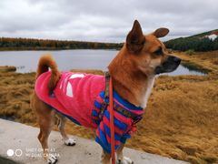 -塞罕坝国家级自然保护区