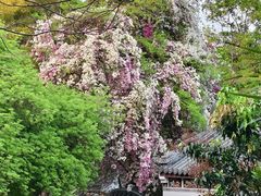 -深圳国际园林花卉博览园