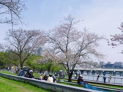 -蠡湖大桥公园
