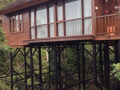 iphone_upload_pic-三亚亚龙湾人间天堂鸟巢度假村