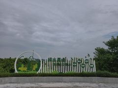 -长洲岛