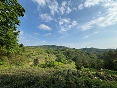 -乌石村