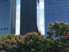 -白塘生态植物园