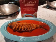 -阿五黄河大鲤鱼(英协路店)