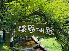 -红崖峡谷景区