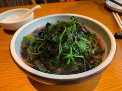 -丹江渔村(望京店)