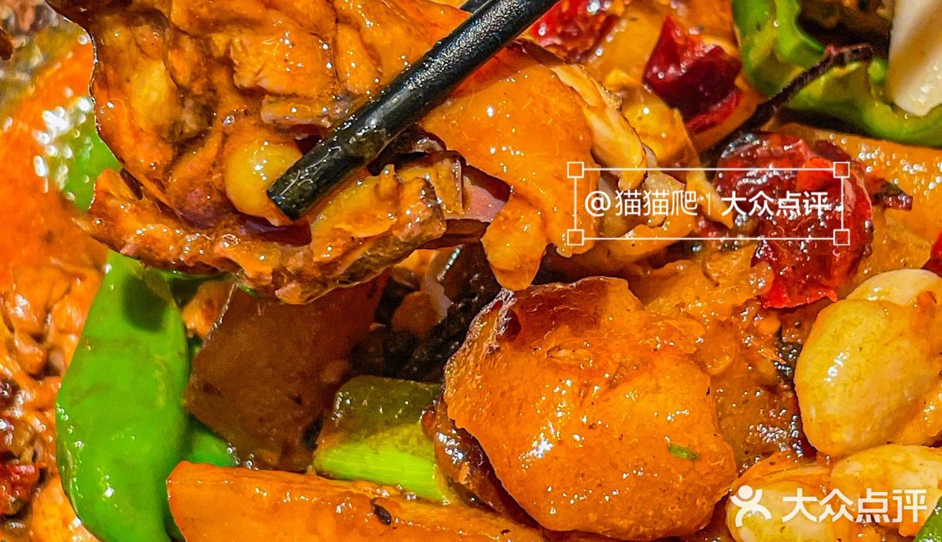 绍兴必吃新疆菜❗️大盘鸡和烤包子我都要🍻
