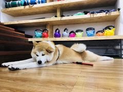 -YCHL Studios健身工作室(市二宫店)