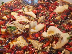 黑豆花水煮鱼-舞辣辣·川菜·黑豆花水煮鱼(卓悦汇店)