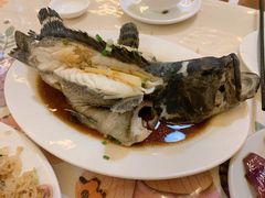 清蒸石斑鱼-花乐餐厅(涠洲岛店)