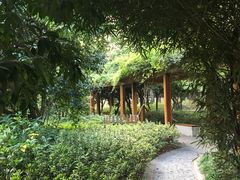 -徐家汇源景区-衡山公园