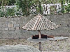-上海野生动物园