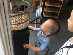 -1078號老北京涮肉(松柏店)