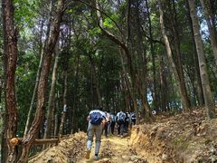 -南山植物园