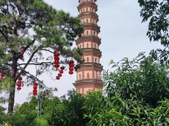 -广州莲花山旅游区