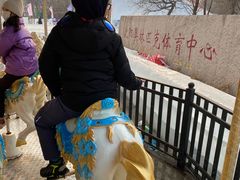 -沈阳奥体冰雪嘉年华