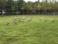 -艾溪湖湿地公园