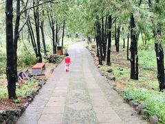 -北京十三陵国家森林公园蟒山景区