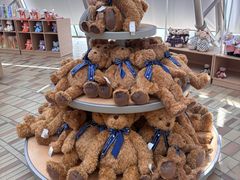 -济州岛泰迪熊博物馆