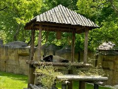 -上海野生动物园