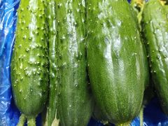 -浦商菜市场·锦德店