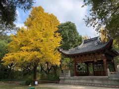 -汇龙潭