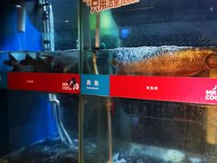 -鱼酷活鱼烤鱼(人信汇商场店)