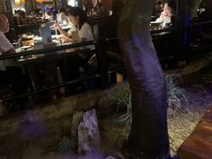 -绿茶餐厅(昆明世纪金源店)