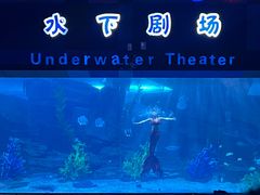 -泉城欧乐堡海洋极地世界