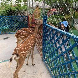 -萌宠亲子动物乐园(槐房万达店)