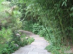 -紫竹院公园冰场