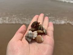 -青岛银沙滩