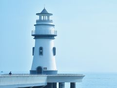 -野狸岛