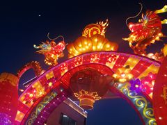 -雁滩公园