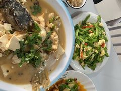 -煲来饱去冷水鱼