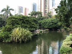 -九龙公园