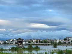 -洱海月湿地公园