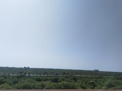 -北海金海湾红树林生态旅游区