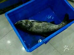 -雪野鱼头大王邢府公老店(雪野湖店)