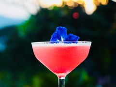 -四季酒店下午茶